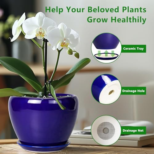 Ceramicfor Ceramic Planter 10 Inch, Indoor Plant Pot for Plants, Royal Blue - Image 6