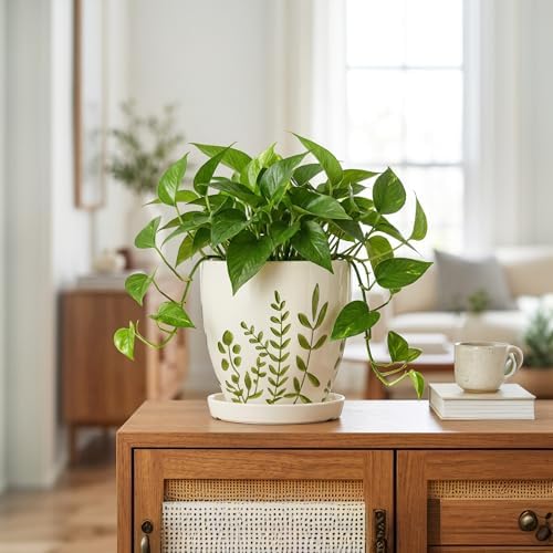 MPotTo Ceramic Pots for Plants - 6 Inch Plant Pot for Indoor Outdoor Plants, Ceramic Planter with Drainage Hole and Saucer, Decorative Round Planter, Gifts for Plant Lovers, Home Room Decor, White - Image 7