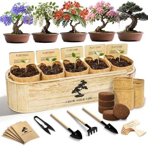 LUOJIBIE Bonsai Tree Kit for Beginners - Unique Gifts for Women, Crafts for Adults, for Women & Men,Complete Indoor Plant Kit,Easy House Plant by LUOJIBIE