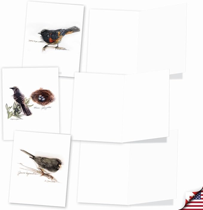 The Best Card Company - 20 Blank Bird Notes with Envelopes - All Occasion Wildlife Nature Animal Card Assortment (10 Designs, 2 Each) - Birds Watching AM3199OCB-B2x10