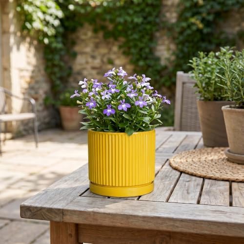 Ceramic Pots for Plants, 4 Inch Plant Pots with Saucer, Yellow - Image 7