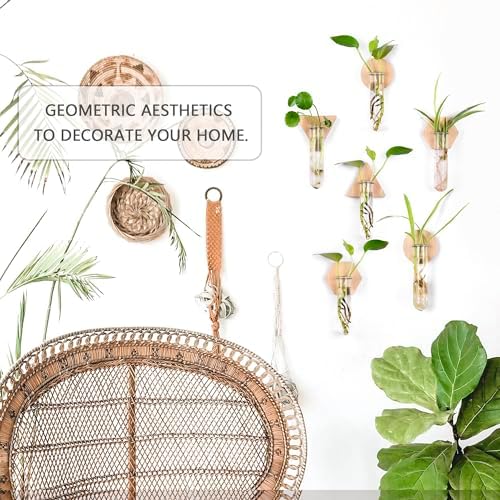 Wall Hanging Glass Planter Plant Propagation Station - Image 5