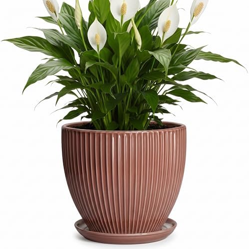 8 Inch Ceramic Flower Pots, Plant Pots Indoor with Drainage Hole and Saucer, Round Flower Pot for Indoor Plants, Decorative Modern Planter, Garden House Decor, Gardening Gifts, Rust Red by Unknown