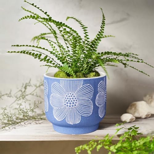 Ceramic Plant Pots, 8+6 Inch, 2 Pcs Indoor Planters with Drainage Holes - Image 2
