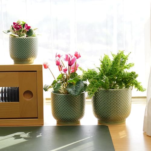 4 + 5 + 6 Inch Ceramic Pots for Indoor Plants, Succulents Plant Pots, Orchid Flower Pot with Drainage Hole, Modern Clay Stoneware Planters, Set of 3 (Green, 4+5+6 Inch) - Image 4