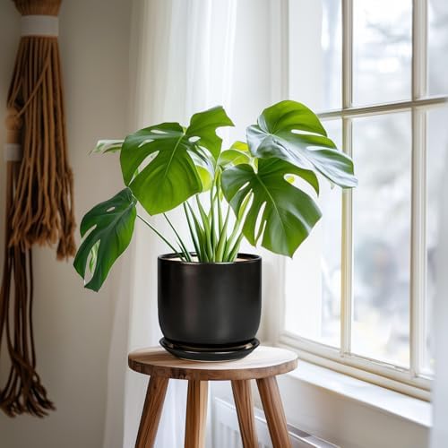 Ceramic Planter 7 Inch - Cylinder Round Modern Indoor Plant Pot for Plants with Drainage Hole and Saucer, Room Home Patio Office Patio Decor, Black - Image 6