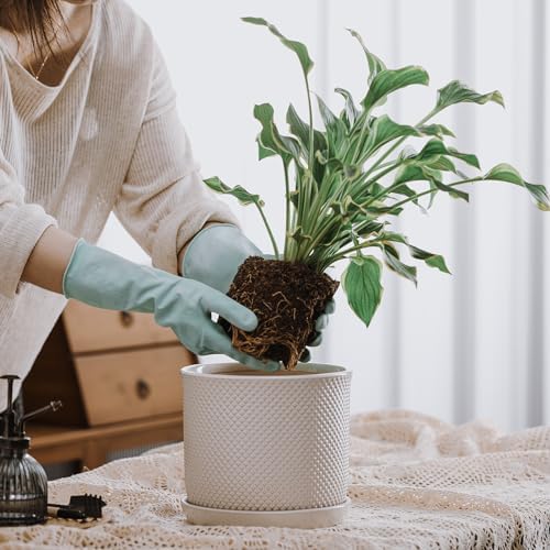 8 Inch Plant Pot: Ceramic Planter with Drainage Hole & Saucer Indoor Outdoor Plants - Flowerpot with Bonded Tray for Home Office - Beaded Embossed Style, Cream White - Image 3