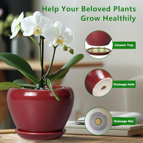 Ceramicfor 10 Inch Plant Pot, Ceramic Planter, Red - Image 6