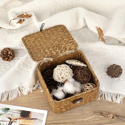 Hipiwe Wicker Shelf Basket Bin with Lid X-small Square Seagrass Storage Box - Image 7