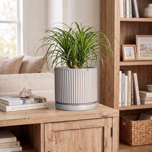 8 Inch Plant Pots, Ceramic Flower Pot, Round Planter with Tray, Grey - Image 3