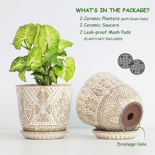 Gepege Ceramic Plant Pots, 6 Inch Indoor Planters with Drainage & Saucers - Image 3