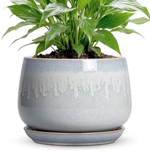 7 Inch Planter Indoor, Ceramic Pots for Plants, Grey-White by Fivepot