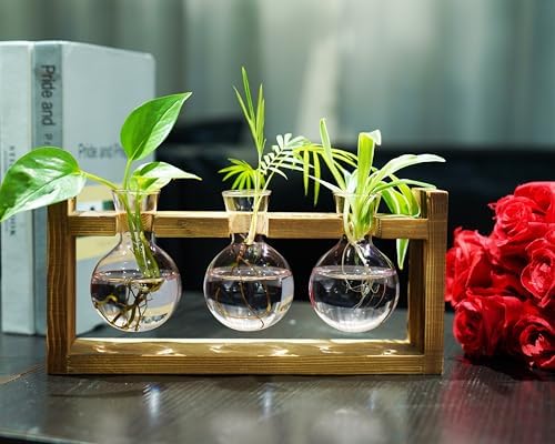 Kingbuy Glass Plant Terrarium Propagation Station, 3 Bulb, Pink - Image 5