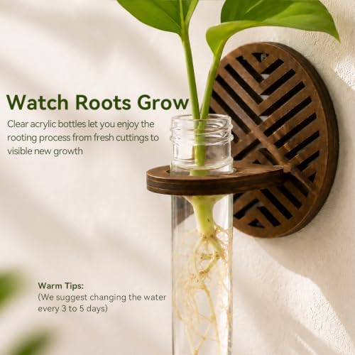 Artilady Plant Propagation Station Wall Hanging, Wood Arch Terrariums Tube - Image 2