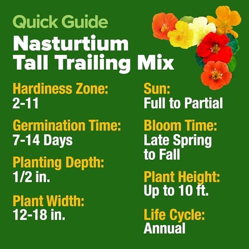 HOME GROWN Nasturtium 250+ Seeds, Dwarf Tall Trailing Mix, Tropaeolum majus - Image 5