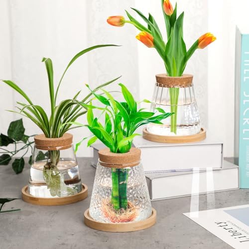 6 Pcs Glass Plant Propagation Station with Wood Lid & Stand, Cute Style - Image 4