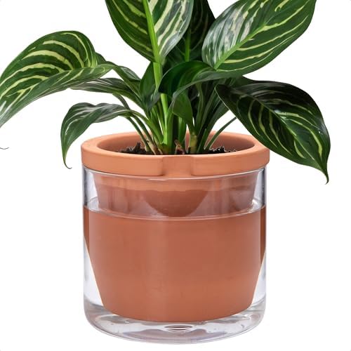 D'vine Dev Self Watering Terracotta Planter Pot, 8 in, 37-X-C-1 by DvineDevPlanterPotsandStand