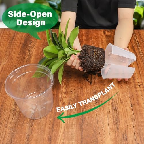 Bluepro 5 Inch Side-Open Orchid Pots 12 Pack, Plastic Nursery Planters with Detachable Side Walls for Easy Repotting, Breathable Slotted Flower Pots with Drainage for Root Health - Image 6