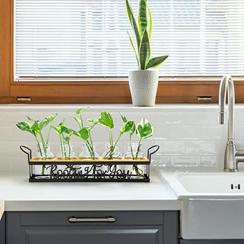 Plant Propagation Station "Rooting for You" Hydroponic Planter Vase - Image 4