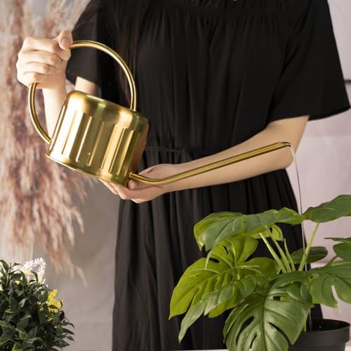 34oz/1L Stainless Steel Watering Can, Rust-Proof Indoor/Outdoor Watering Can for House Plants, Long Spout Water Can for Succulent Bonsai Garden Flowers (Gold Color) - Image 5