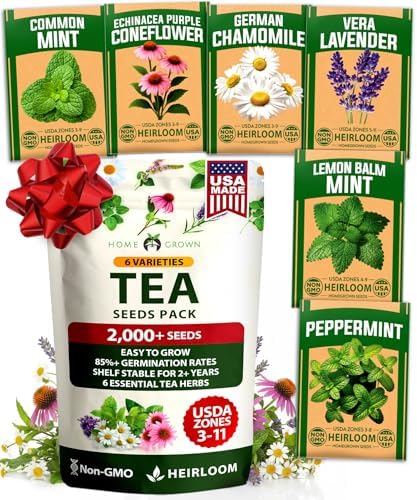 HOME GROWN 6 Medicinal Herb Variety Vault 2000+ Seeds Garden Kit by HOMEGROWN
