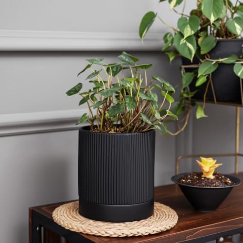 HERDUK 6 Inch Ceramic Plant Pot with Drainage & Saucer - Indoor Planter for Succulents, Cacti & Aloe Vera - Striped Design, High-Temp Fired Clay, Lightweight Modern Decor - Image 5