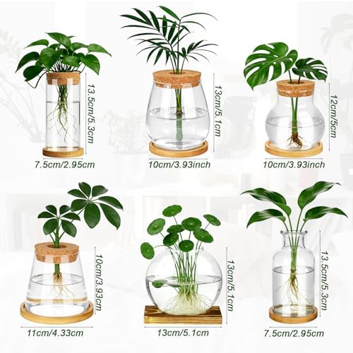 6 Pcs Plants Propagation Stations Glass Planter Terrariums with Wooden Lid and Bamboo Stand Desktop Propagation Vases Jars for Plant Growing Hydroponic Home Office Tabletop Garden Decoration - Image 5