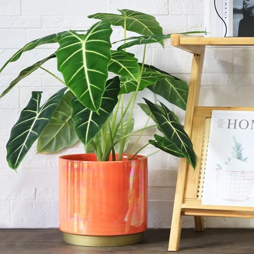 Gepege Peach Indoor Plant Pots for Plants, Large Ceramic Planter with Drainage Hole, 9.6-inch Succulent Orchid Flower Pot - Rainbow Pearl Glaze - Image 4