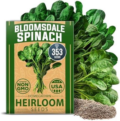 HOME GROWN Bloomsdale Spinach Seeds, 353+ Seeds, Spinacia oleracea by HOMEGROWN