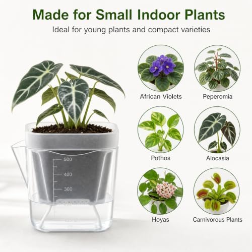 8 Pack 4 Inch Clear Self Watering Pots for Indoor Plants - Image 4