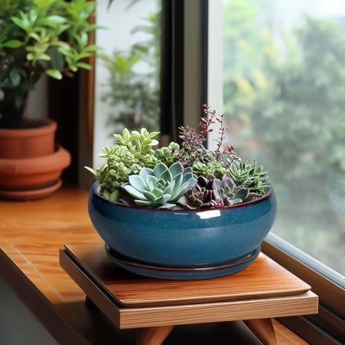 SQOWL Bonsai Pots - 8 Inch Ceramic Succulent Pots with Drainage Hole and Saucer, Round Shallow Planter for Indoor Outdoor Plants Flowers, Ceramic Planter Bowl, Room Decor, Gardening Gifts, Blue - Image 4