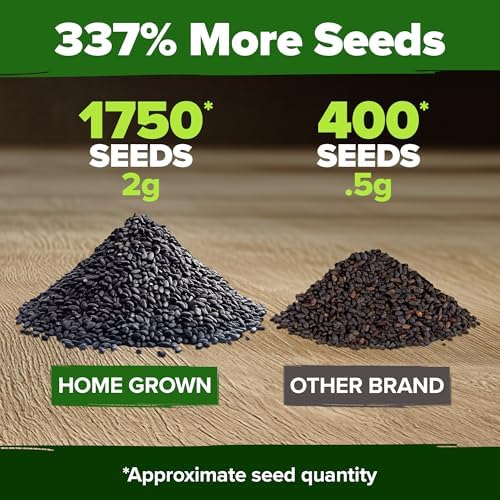 HOME GROWN Genovese Basil Seeds, 1,750+ Seeds, Ocimum basilicum - Image 3