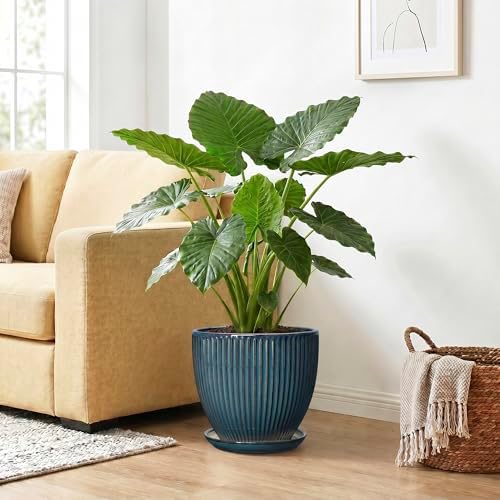 Ceramic Planter, 10 Inch Plant Pot with Drainage Hole and Saucer, Round Planters for Indoor Plants, Decorative Plant Pots, Modern Planter, Living Room Decor, Gifts for Plant Lovers, Retro Blue - Image 4