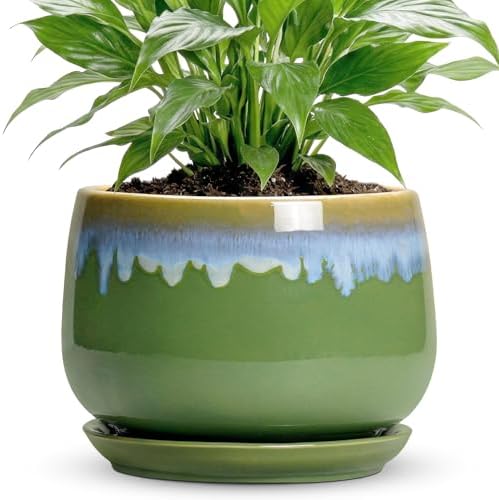 Ceramic Flower Pots, 7 Inch Indoor Plant Pot, Green-Blue by Fivepot