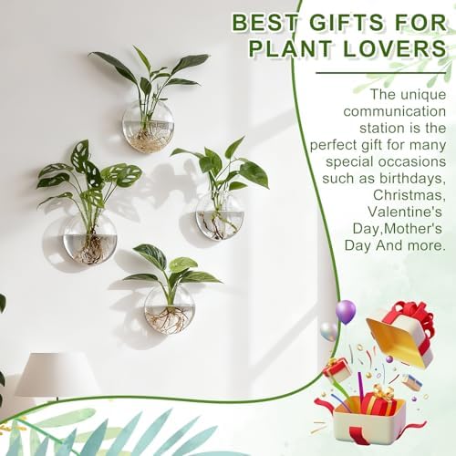 Wall Propagation Planters, 4 Pack Oblate Hanging Plant Holder Vase - Image 6
