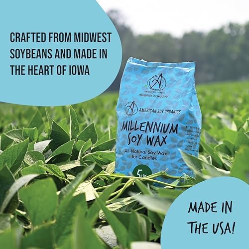 American Soy Organics Millennium Soy Beads for Candle Making - Natural Supplies - Paraffin-Free, Beeswax-Free Candle Wax for Container Candles, Tealights and Wax Melts, 10 lbs (Pack of 2) - Image 6