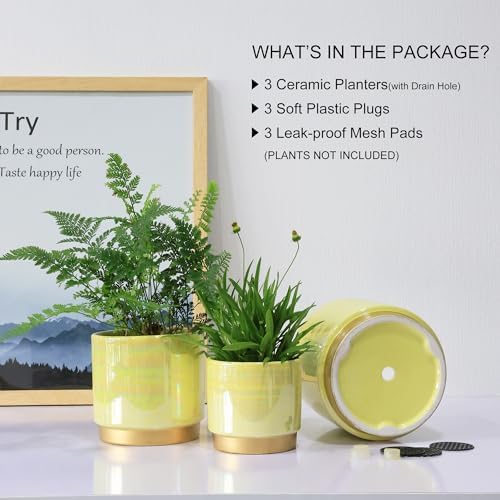 Gepege Ceramic Plant Pots for Indoor Plants, Planters with Drainage Holes - Image 5