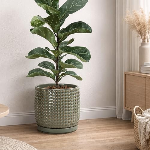 D'vine Dev Beaded Ceramic Pot with Saucer, 10 in, Olive, 27-C-P-0 - Image 2