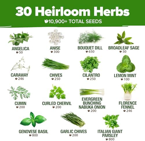 HOME GROWN 30 Herb Variety Pack 10,900+ Seeds Extra Large Culinary Kit - Image 3