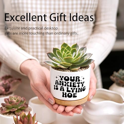 Funny Mental Health Planter Pots, Anti Anxiety Gifts for Women, Your Anxiety is Lying Inspirational Ceramic Succulent Plant Flower Planters for Home Office Desk Table Shelf(No Plants) - Image 4