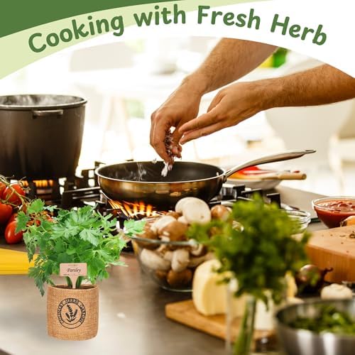 Herb Indoor Garden Kit- Unique Chrismas Herb Gardening Gift, Home Kitchen Gift for Mom, Friends, and Gardeners (Basil, Parsley, Chives, Cilantro, Mint) - Image 4
