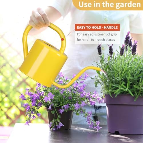 Watering Can, Stainless Steel Watering Can for Indoor & Outdoor Plants, 1L/35oz Long Spout Water Can with Handle, Rust-Proof Plant Watering Pot for House Plants, Garden Flowers - Image 5