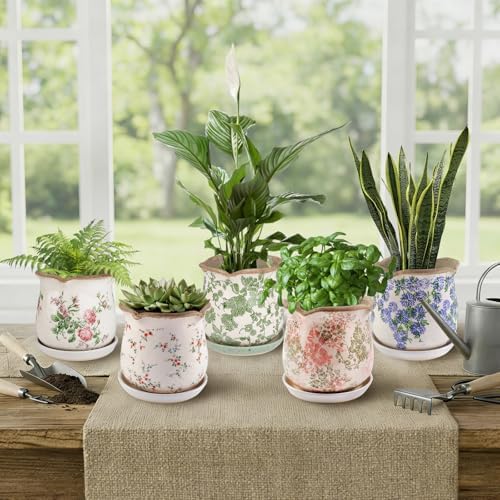 Ceramic-Planters-for-Indoor-Plants with Saucer, 6 inch Vintage Ice Crackle Glaze Plant Pots with Drainage Holes, Decorative Flower Pots for Outdoor Garden Home Decor, Tuscan Pot for Plant - Image 2