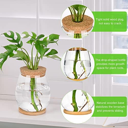Plant Propagation Station,2 Pcs Glass Vases with Wooden Stand & Lid - Image 3