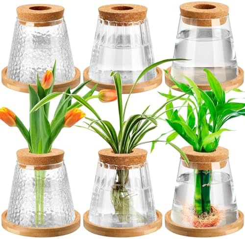 6 Pcs Glass Plant Propagation Station with Wood Lid & Stand, Cute Style by Beeveer