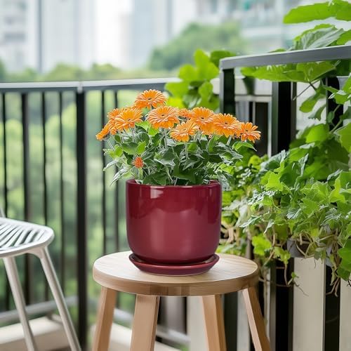 Ceramic Planter for Plants - Round Modern 7 Inch Plant Pot Indoor with Drainage Hole and Saucer, Home Patio Office Apartment Decor, Red - Image 5