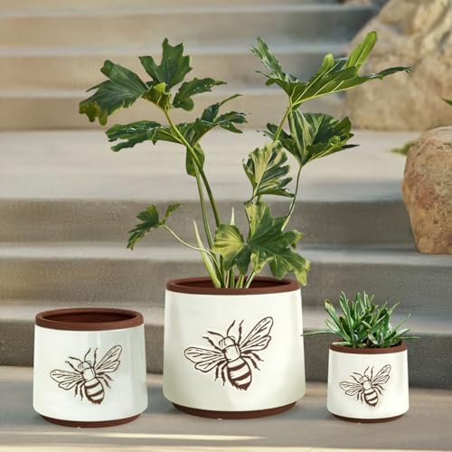 Terracotta Pots, 8+6+4 Inch Plant Pots, 3 Pcs with Drainage Holes - Image 5