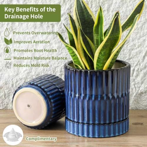 HASENSE Ceramic Pot for Plants, 3-Pack (8/6/4.6 inch) Medium Flower Planter with Drainage Holes & Tray, Rective Glaze Plant Pots Indoor with Ribbed Design, Kithen Home Office Decor, Blue - Image 5
