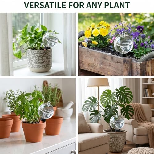 6 Pack 26 oz Extra Large Plant Self Watering Globes to 3 Weeks Watering - Image 4