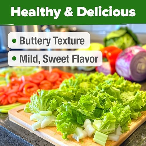 HOME GROWN Buttercrunch Lettuce Seeds, 1,975+ Seeds, Lactuca Sativa - Image 6